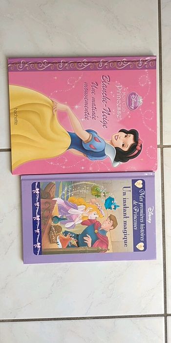 Livres Princesse Disney