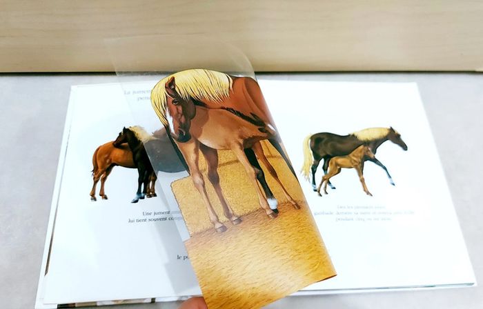 📚 Livre mes premières découvertes : Le cheval - photo numéro 2