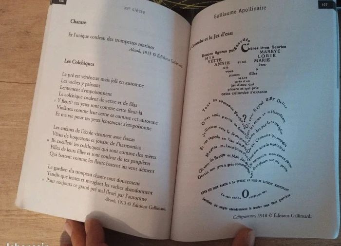 90 poèmes classiques et contemporains - photo numéro 3
