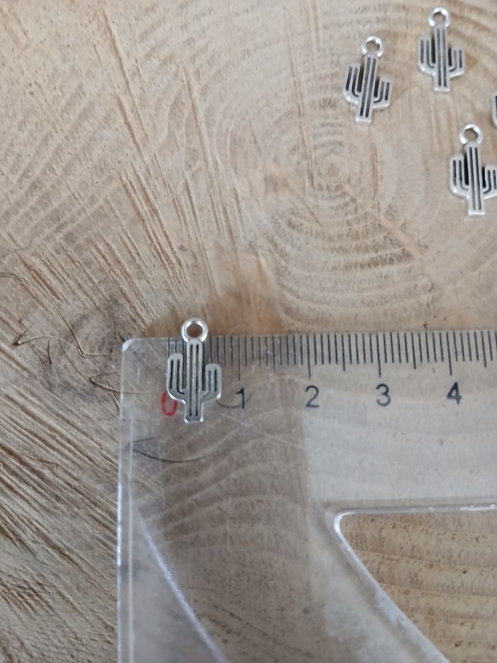 Lot de 22 breloques cactus argenté - photo numéro 4