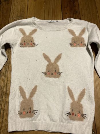 Pull lapin 8 ans