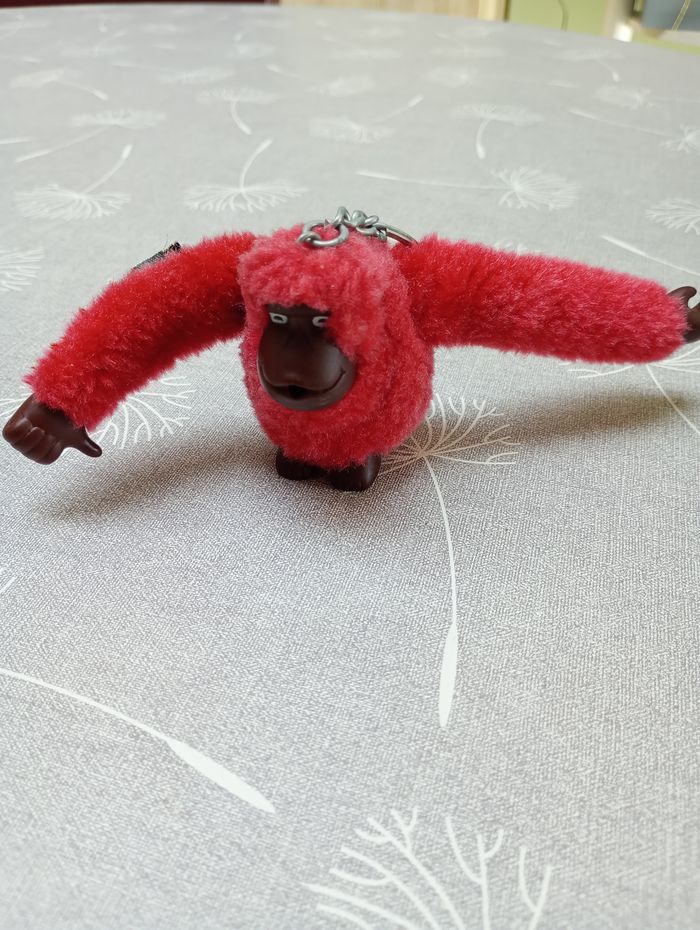 Singe Kipling Richard