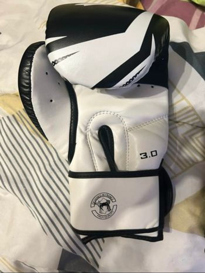 Gant de boxe - photo numéro 2