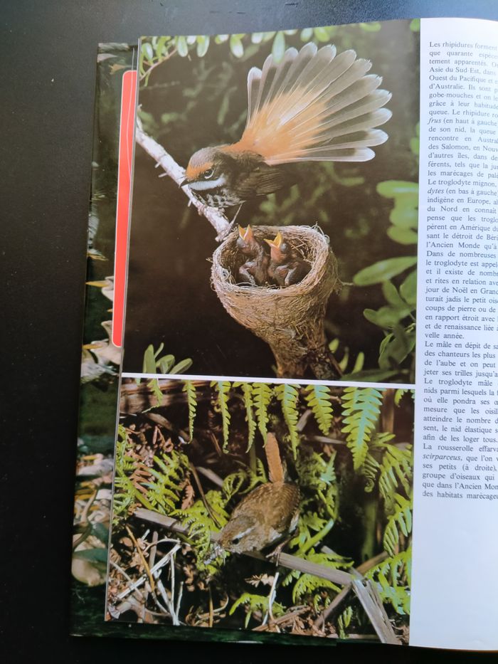 Livre La passion des oiseaux - photo numéro 7