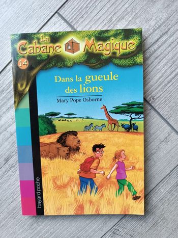 Cabane magique 14