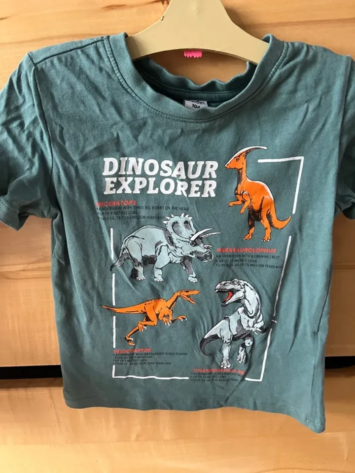Lot de 2 t-shirts manche courtes - photo numéro 4