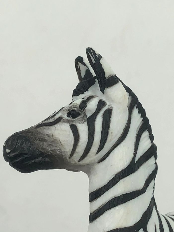 Figurine en PVC Zèbre Papo - photo numéro 8