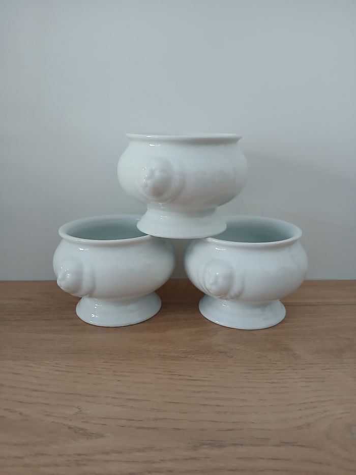 Lot de 3 bol a soupe tête de lion