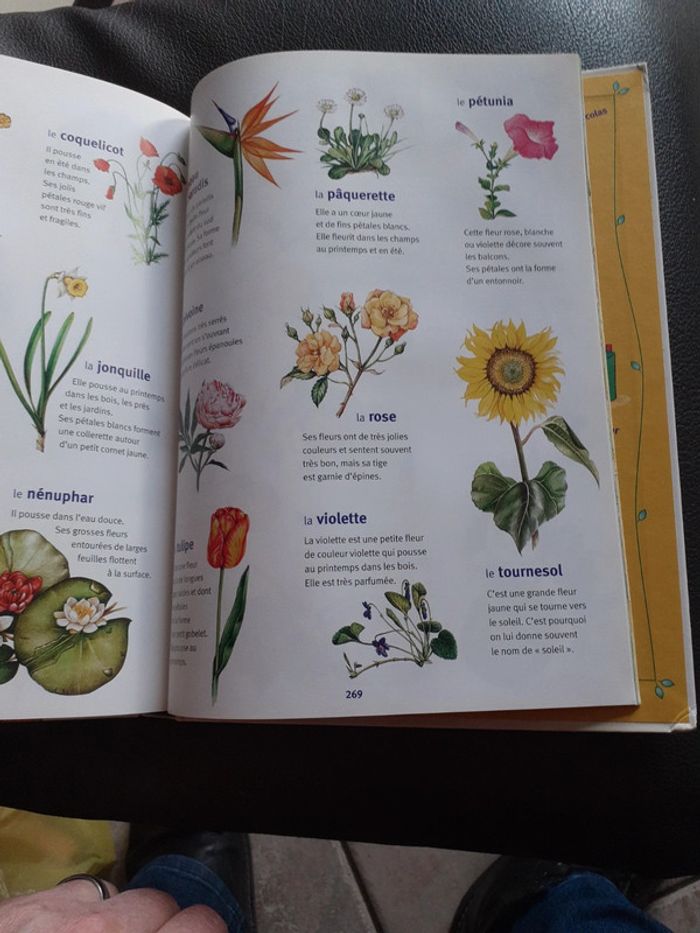 Livre Larousse des Maternelles - photo numéro 8