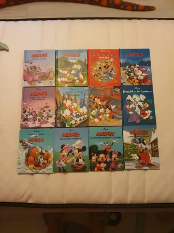 Lot 53 livres Disney Mickey