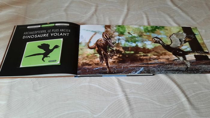 Sur les traces des dinosaures à plumes - photo numéro 3