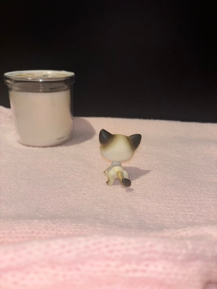 siamois #5 - photo numéro 3