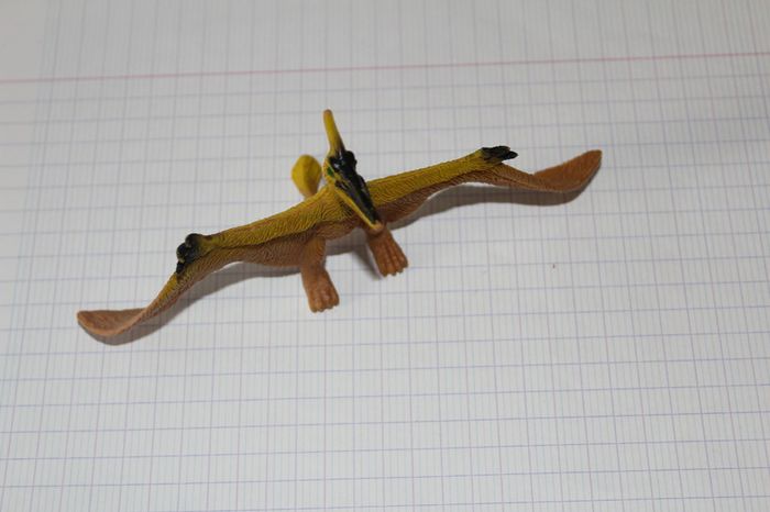 dinosaure