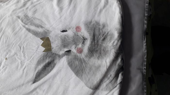 Gigoteuse imprimée lapin Taille 6-24 mois - photo numéro 2