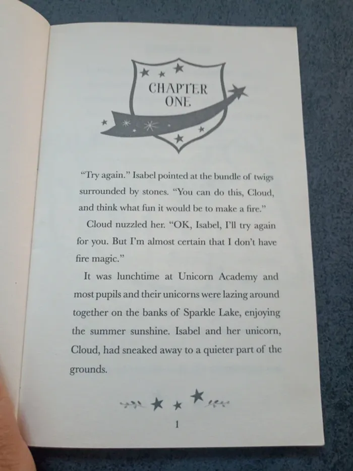 Unicorn academy - photo numéro 4