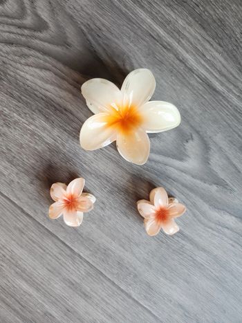 Pinces fleur des îles orange