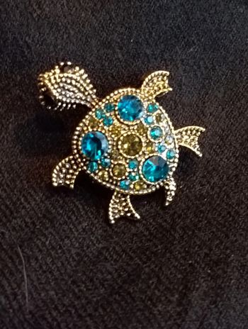 Idée cadeau 🎁: broche tortue
