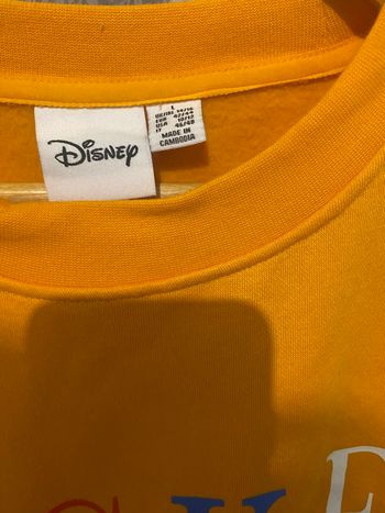 Sweat Disney 