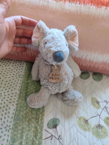 doudou souris histoire d'ours