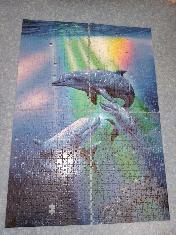 Puzzle 1000 pièces Dauphins Nathan - photo numéro 2