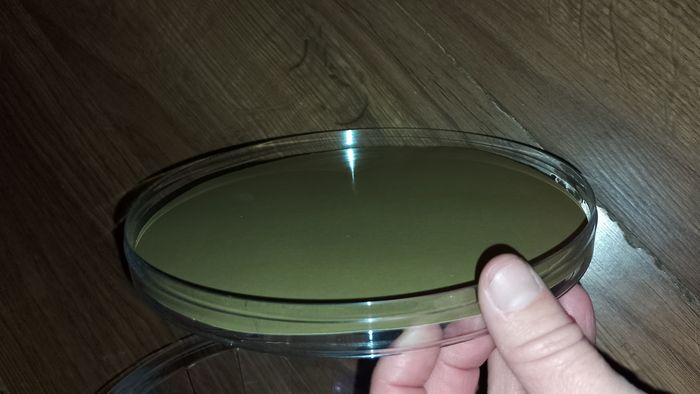 Cône, pyramide, boite vide de Ferrero - photo numéro 2