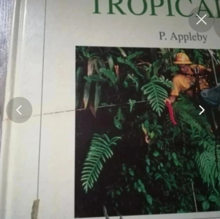 Livre la vie des forêts tropicales - photo numéro 6