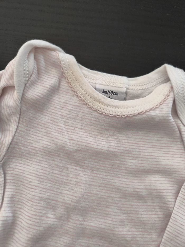 Bodie 3 mois - photo numéro 2