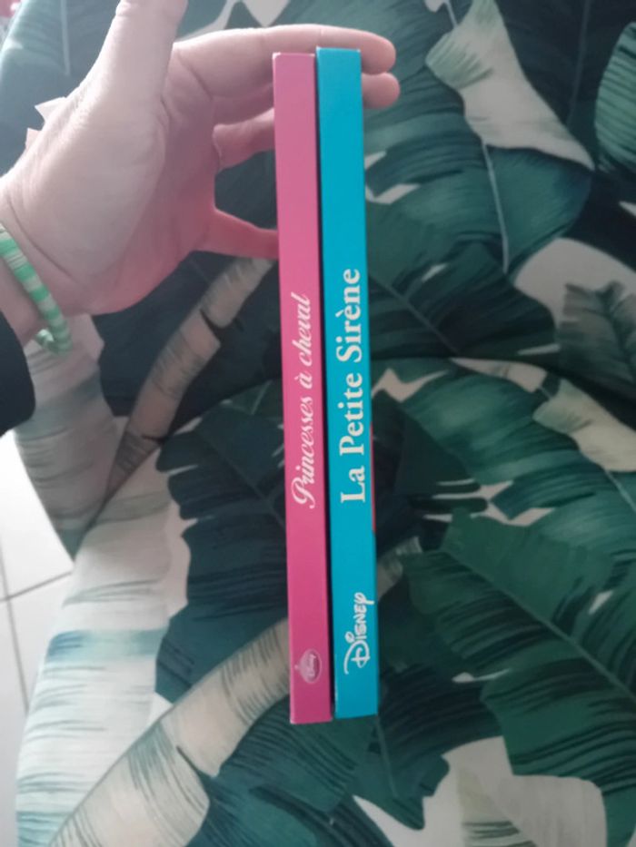 Lot de 2 livres disney tbe - photo numéro 3