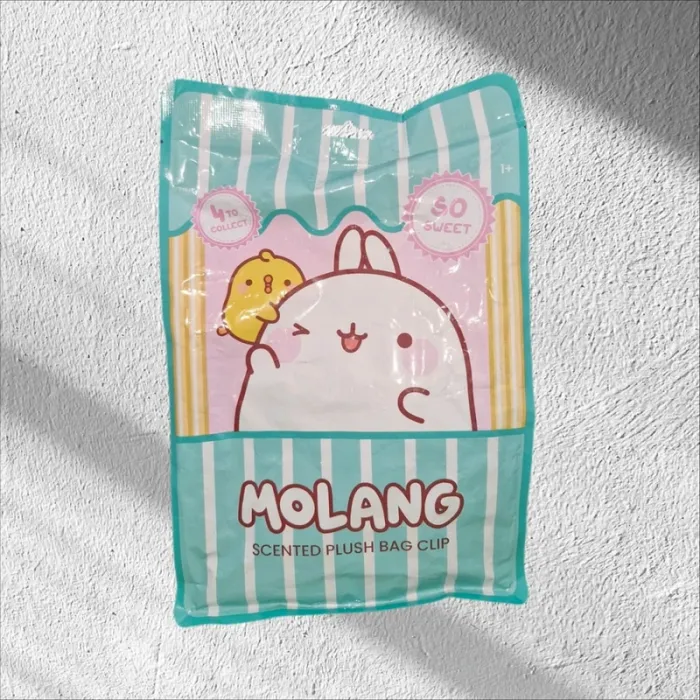 Mystery Bag Molang