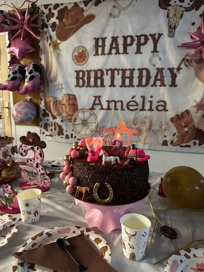 Décoration anniversaire cowgirl/cowboy – lot complet avec déco gâteau - photo numéro 2