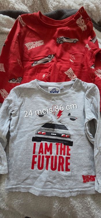 Lot 2 tee-shirts manches longues 24 mois