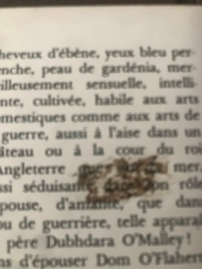 Livre la louve d’Irlande édition poche 📕 - photo numéro 4