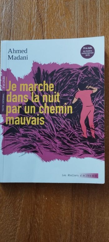 Je marche dans la nuit par un chemin mauvais