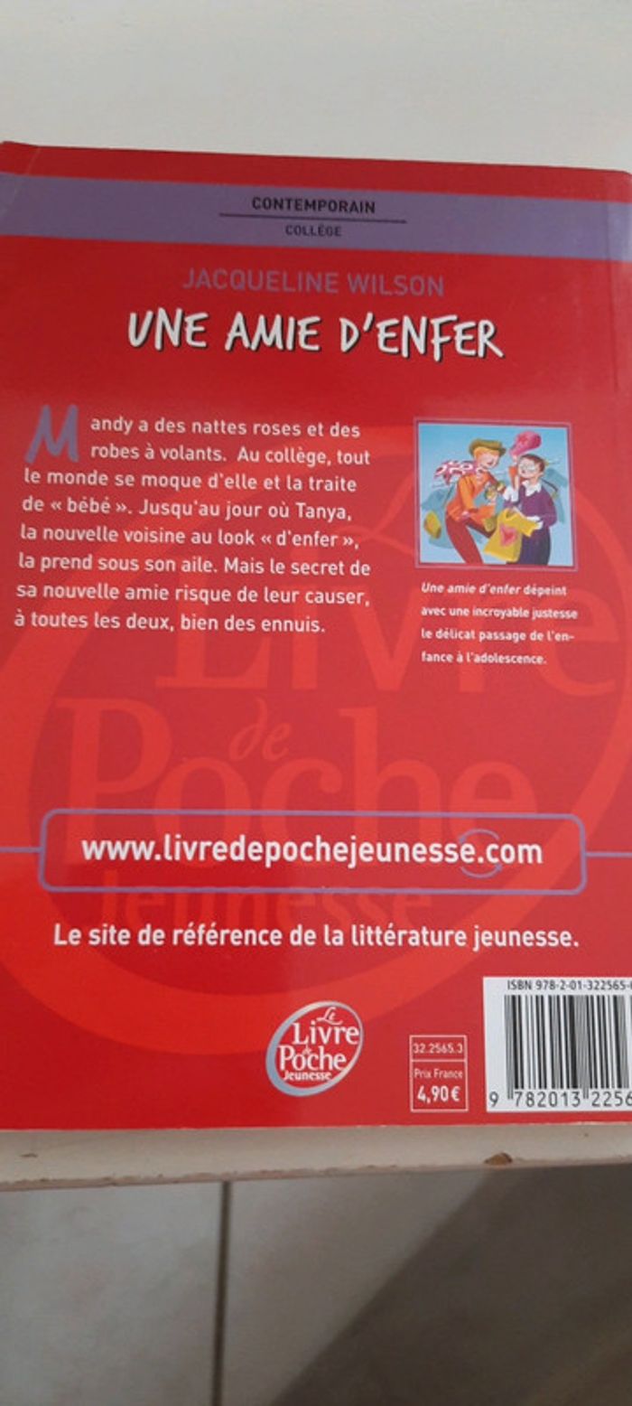 Une amie d'enfer - photo numéro 2