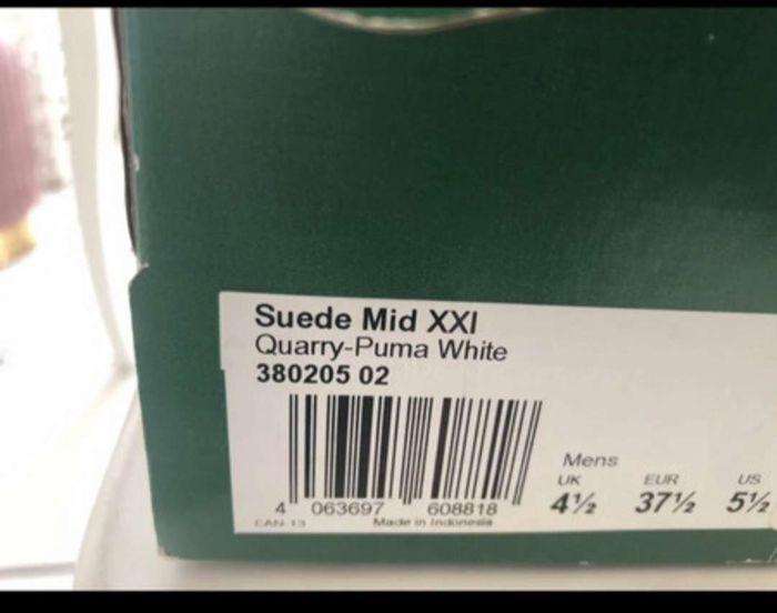 Puma grise - photo numéro 3