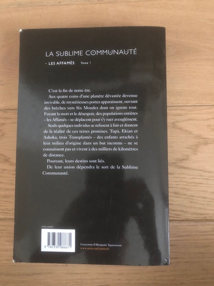 La sublime communauté -Emmanuelle Han - photo numéro 2