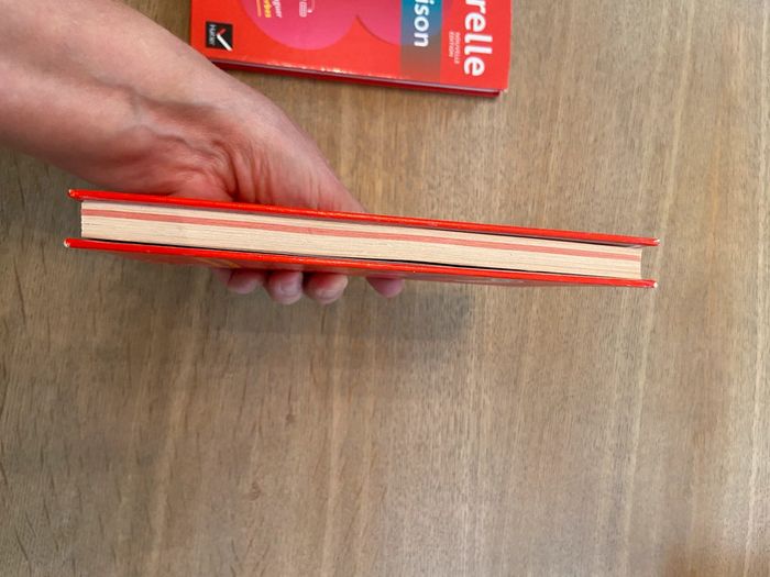 Lot de deux Bescherelle : conjugaison et orthographe, homonymes et mots difficiles - photo numéro 7