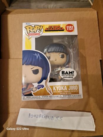 Kyoka Jiro exclu BAM