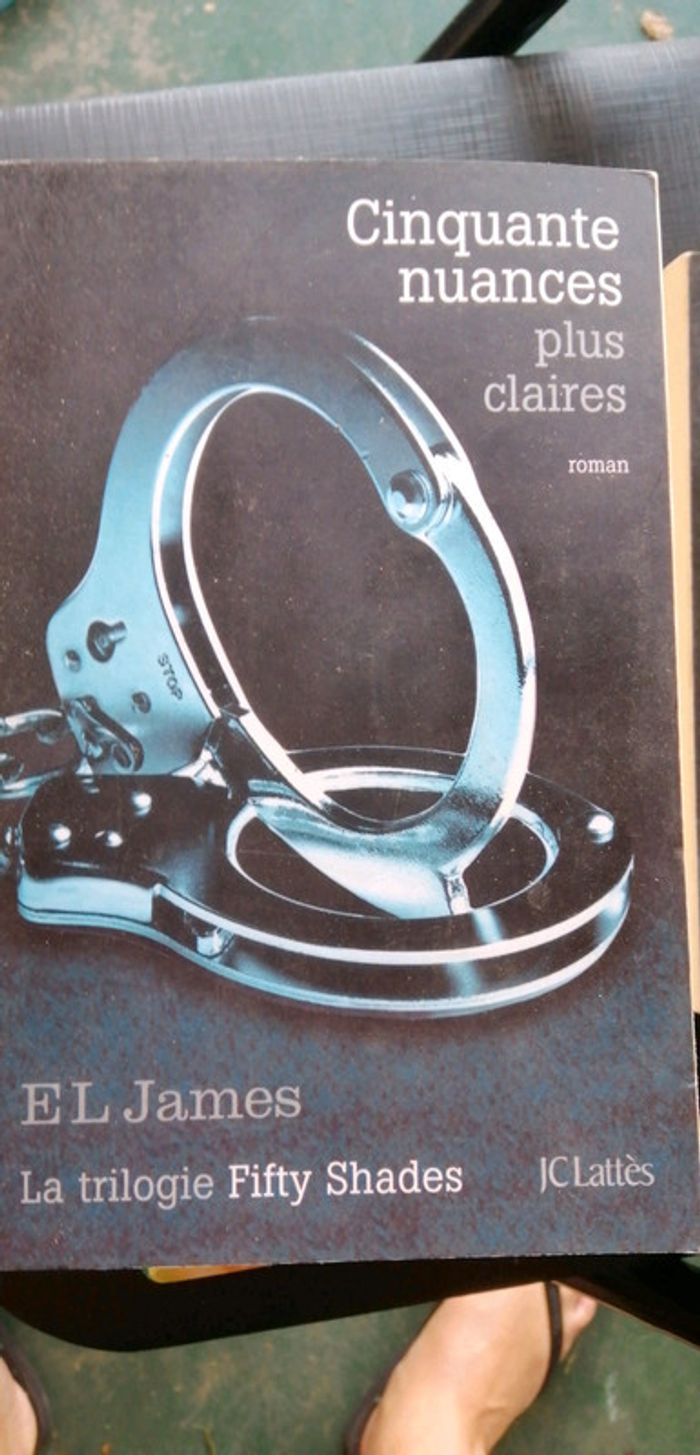 50 nuances de Grey-2 tomes - photo numéro 3