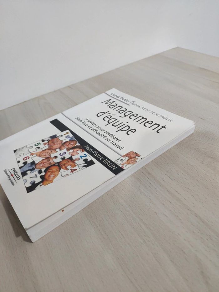 Livre management équipe 7 leviers améliorer bien être efficacité professionnelle Brun - photo numéro 3