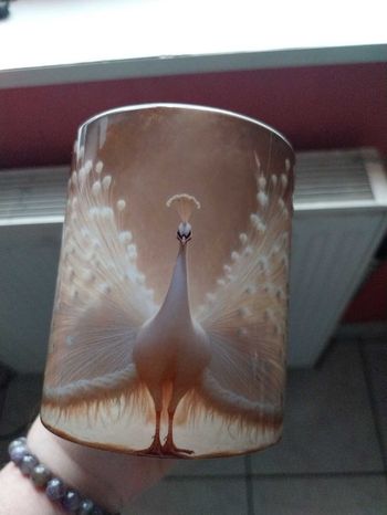 Mug joli paon blanc
