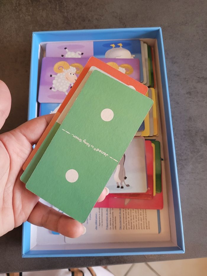 Dominos - photo numéro 4