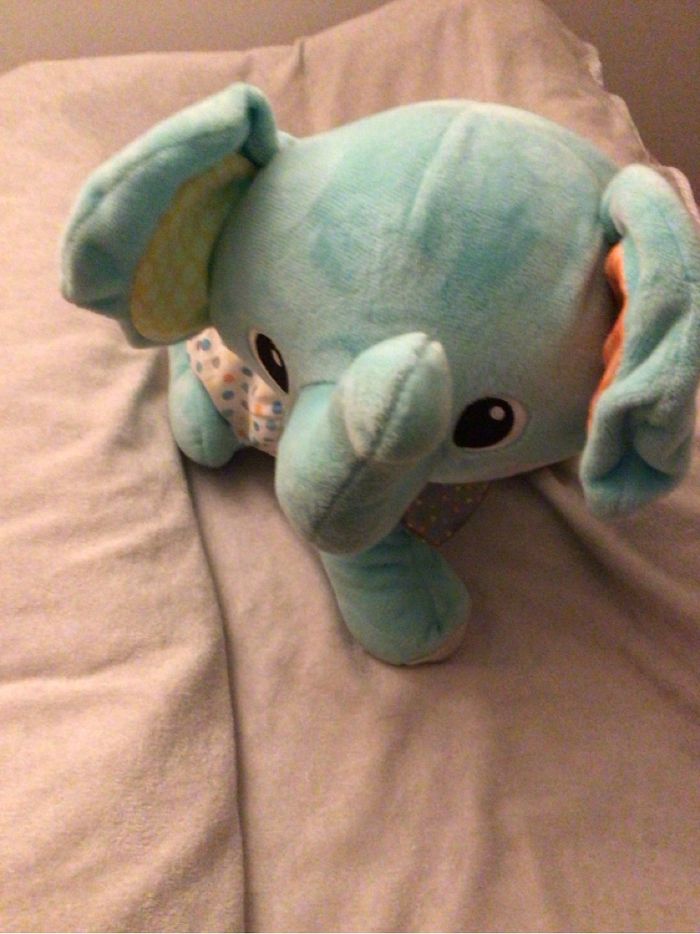 Éléphant qui marche