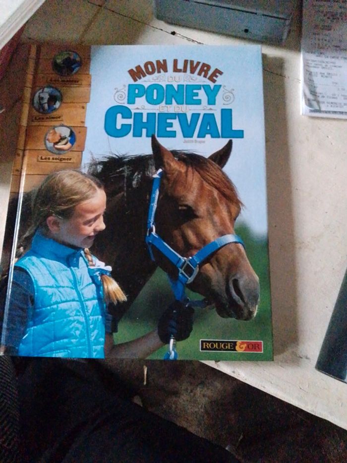 Grand livre cheval/poney enfants NEUF