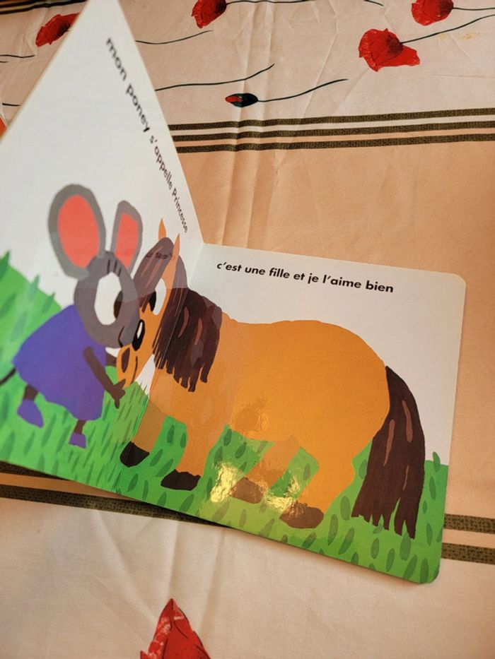 Le poney de kiko - photo numéro 6