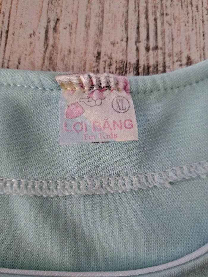 Robe reine des neiges - photo numéro 3