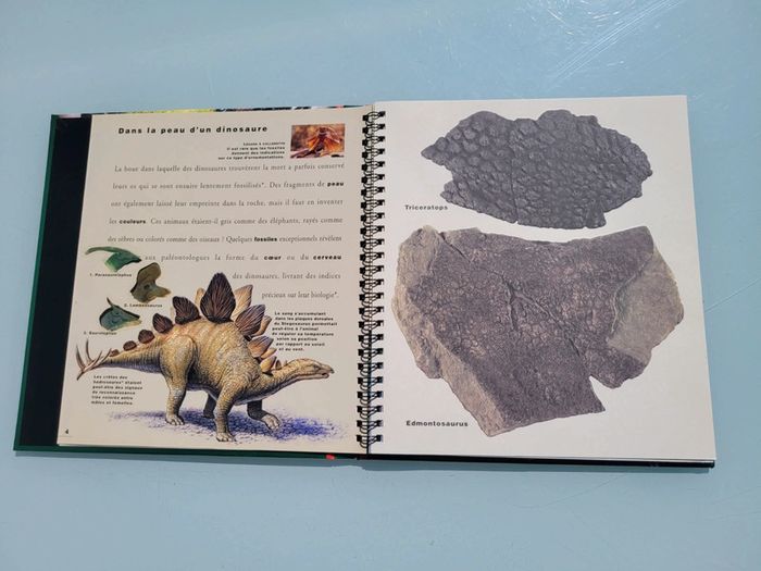 Livre animé de flaps Mi-oiseaux, mi-dragons, les dinosaures, Gallimard Jeunesse (47) - photo numéro 6