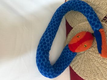 RE-PETS SERPENT BLEU CORAIL