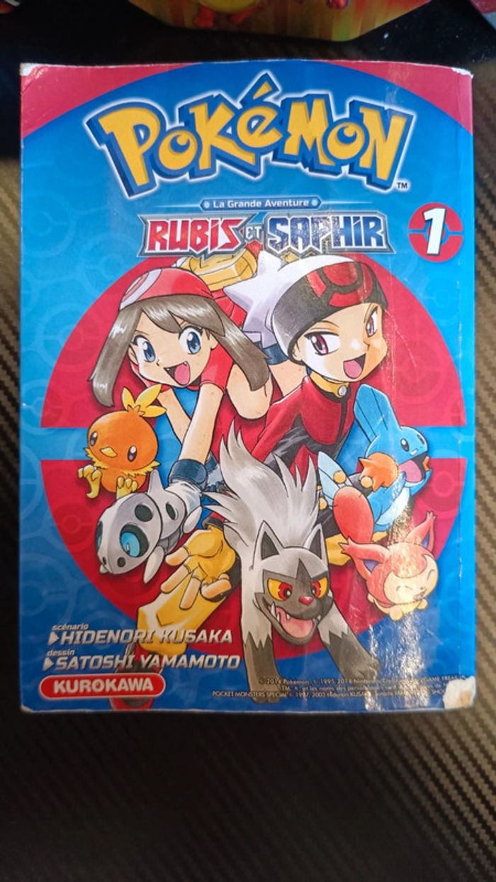 Manga pokémon rubis et saphir