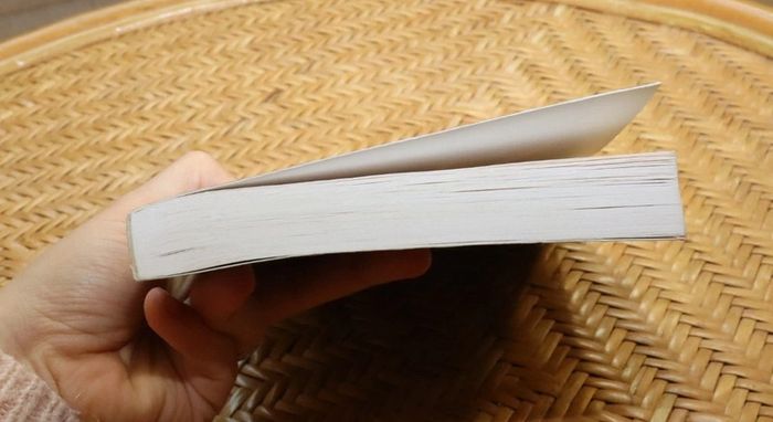 Livre "Histoire des castrats" - photo numéro 5